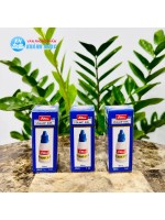 Mực dấu Shiny xanh